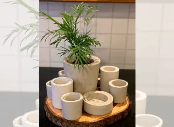 Conjunto de vasos e cachepôs de cimento em base de madeira