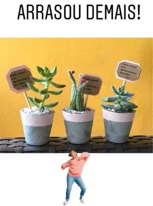 Trio de jarrinhos de concreto com plantinhas e plaquinhas