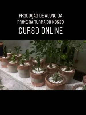 Produção de aluno da primeira turma do curso online